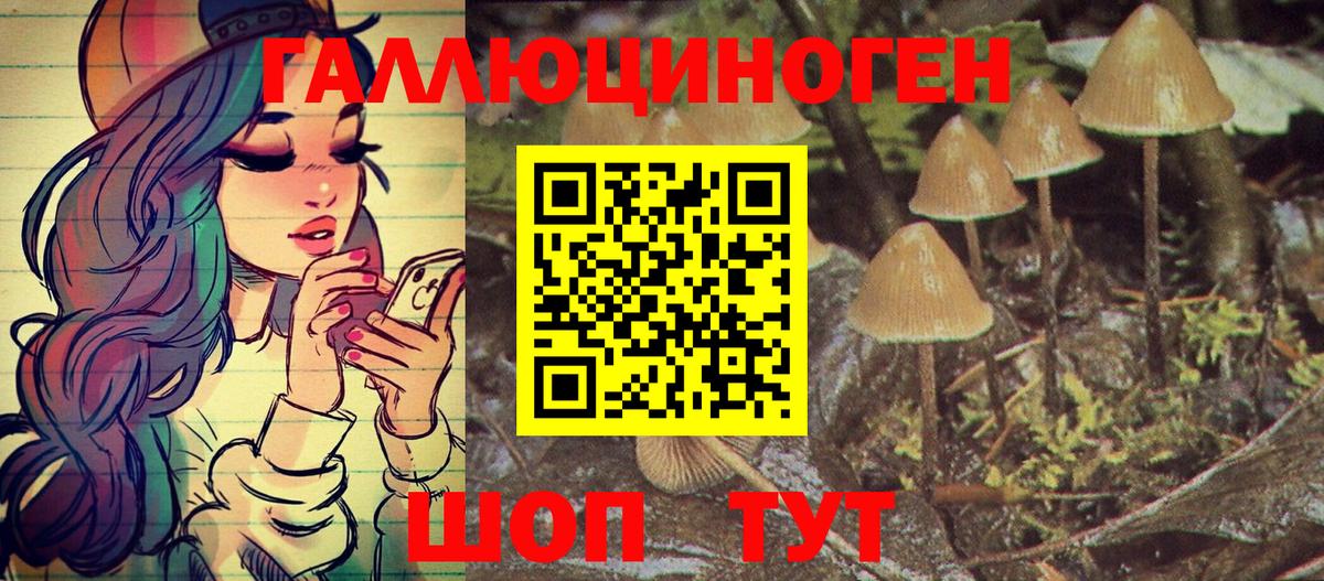 LSD-25  Марихуана  Меф   ЭКСТАЗИ  Alpha PVP СК   Cocaine  Новый Уренгой  Меф  ГАШ  ГАШ  Вход с VPN 